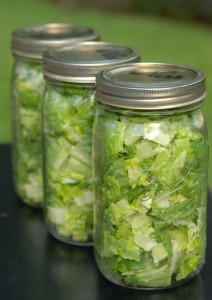 SaladinaJar