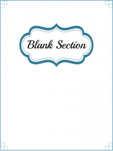 Blank Section Divider erase