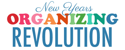 New Year's Organizing Revolution