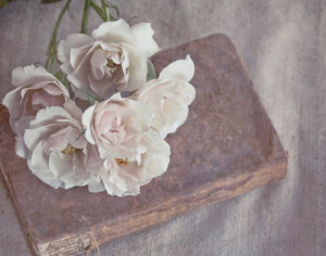 Solhful Photography ~ Roses on Bible Print