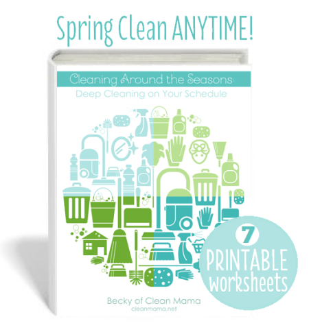 Cleaning ebook with Printable Worksheets