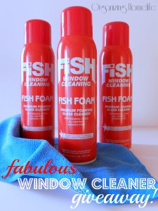 Fish Foam Window Cleaner Giveaway on Organizing Homelife