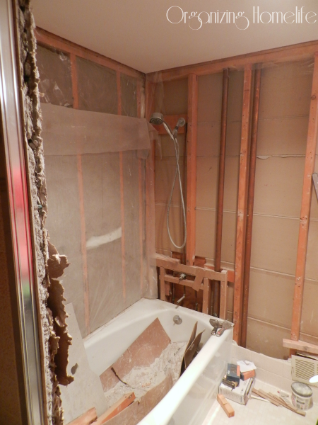 Bathroom demo