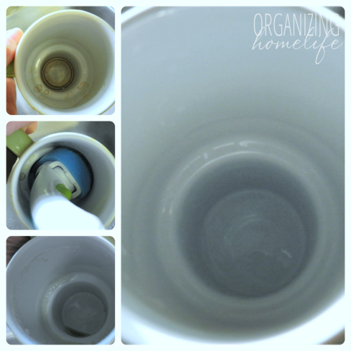 Coffee Mug Cleaned with Scotch Brite Clean Curve