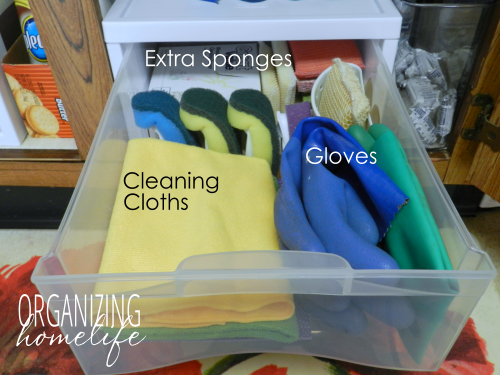 Sponges and Gloves in Drawer