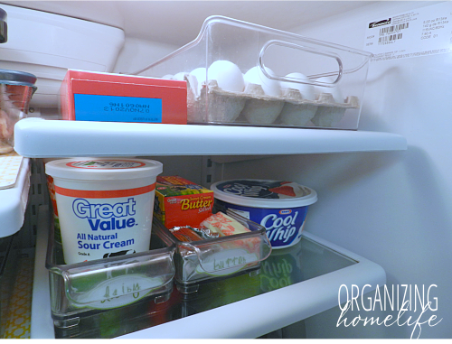 Using Fridge Binz to Organize a Fridge