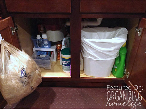 Kristis Under the Sink Organization