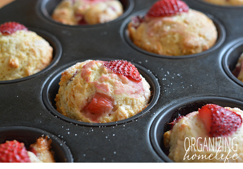 Strawberry Rhubarb Muffins Straight from the Oven
