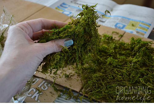 Spring Centerpiece with DIY Moss Table Runner - Organizing Homelife