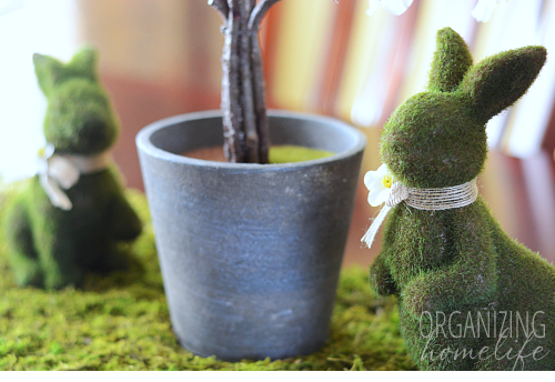 Moss Covered Bunnies