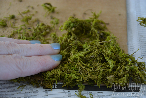 Dried Moss Table Runner