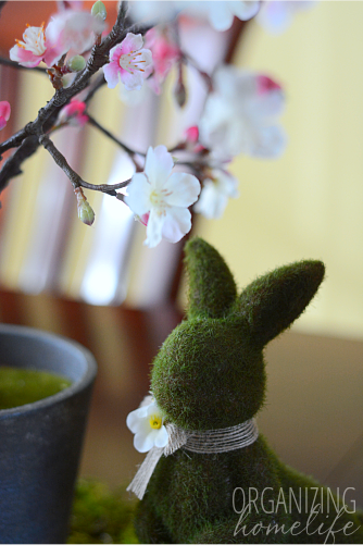 Springtime Moss Bunny