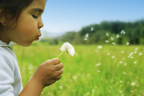 AsthmaMD Peak Flow Meter - Get Asthma Under Control