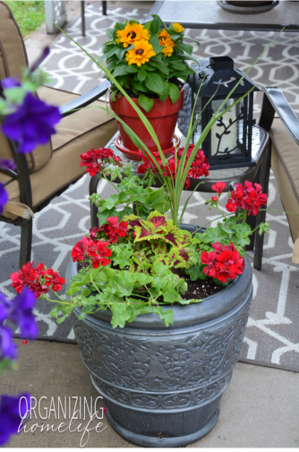 Patio Flowers and Decor