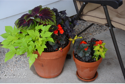 Patio Planters