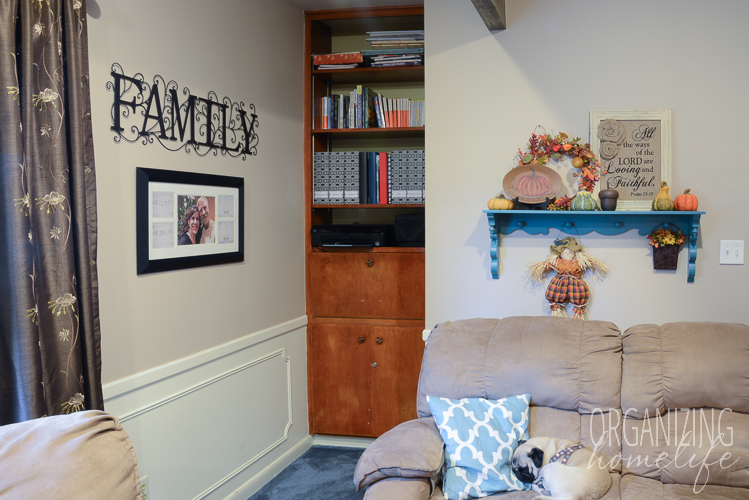 Organizing a Bookcase - Before Pic