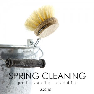 Ultimate Spring Cleaning Printable Bundle