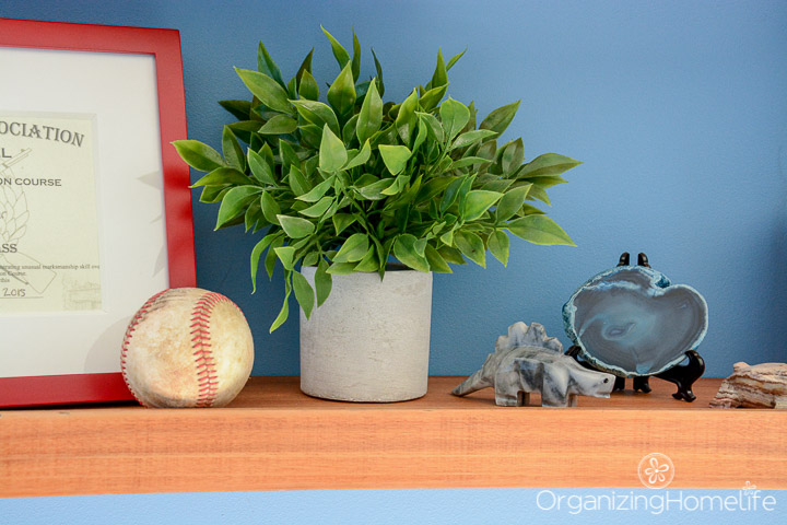 boys room shelves