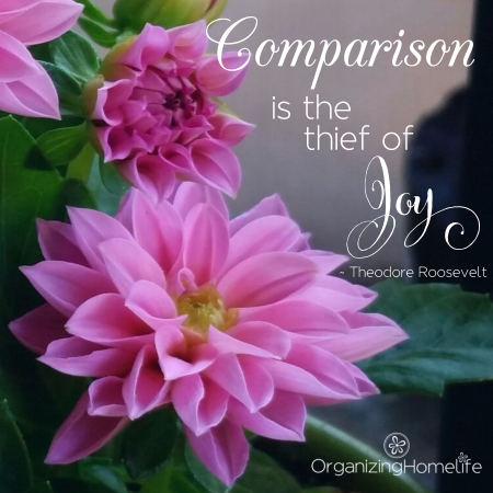Comparison is the Thief of Joy | Organizing Homelife